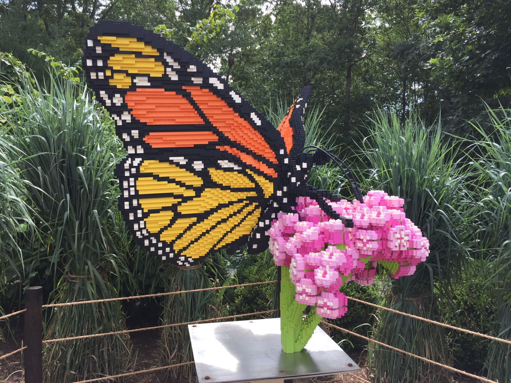 MonarchButterfly_NatureConnects
